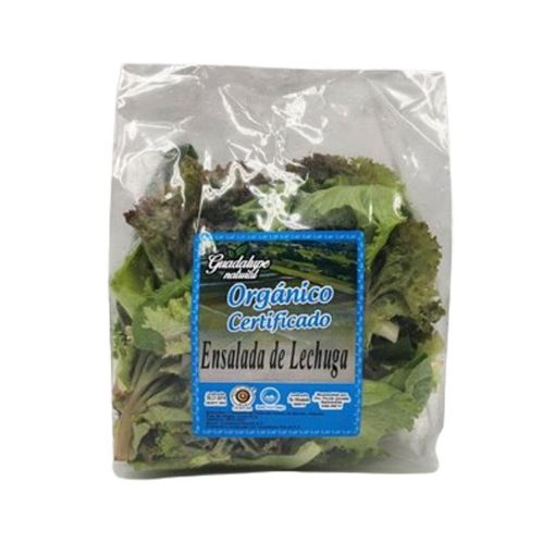 Imagen de ENSALADA GUADALUPE NATURAL NATURAL DE LECHUGA 250 G