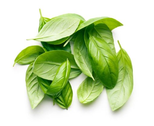 Imagen de ALBAHACA GUADALUPE NATURAL ORGANICA 80 G