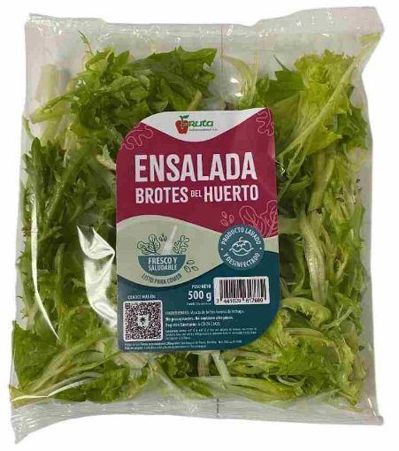 Imagen de ENSALADA BROTES DEL HUERTO FRUTA INTERNACIONAL 100 G