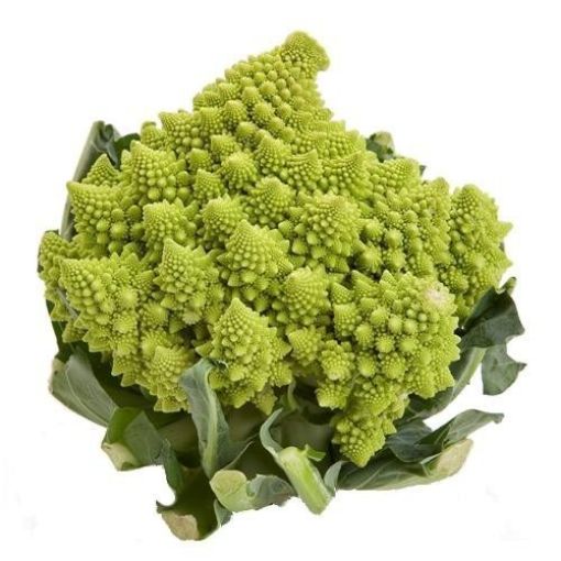 Imagen de ROMANESCO CB BANDEJA  1.00 UND