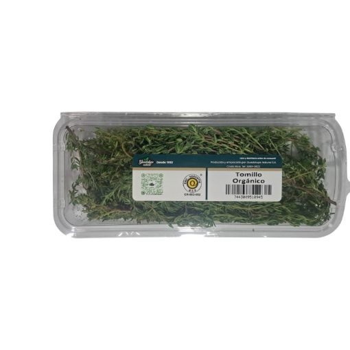 Imagen de TOMILLO GUADALUPE NATURAL ORGÁNICO BANDEJA 1.00 UND