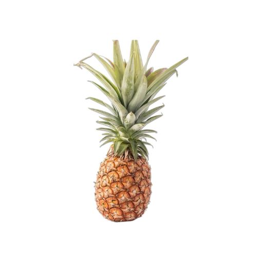 Imagen de PIÑA ORGÁNICA GUADALUPE NATURAL 1 UND